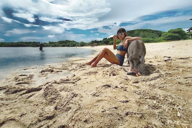 Half-Day Pig Island (Koh Madsum) and Koh Tan Speedboat Tour - Inclusions