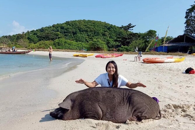 Half-Day Pig Island (Koh Madsum) and Koh Tan Speedboat Tour - Weather and Capacity
