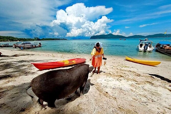 Half-Day Pig Island (Koh Madsum) and Koh Tan Speedboat Tour - Itinerary