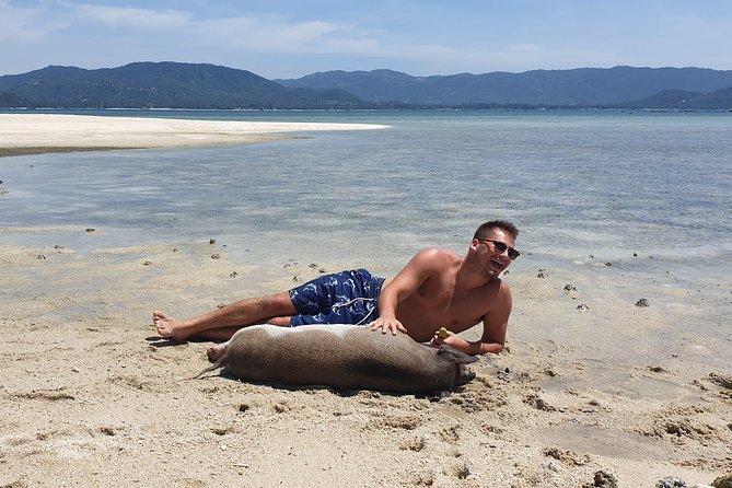 Half-Day Pig Island & Snorkeling Experience - Key Points