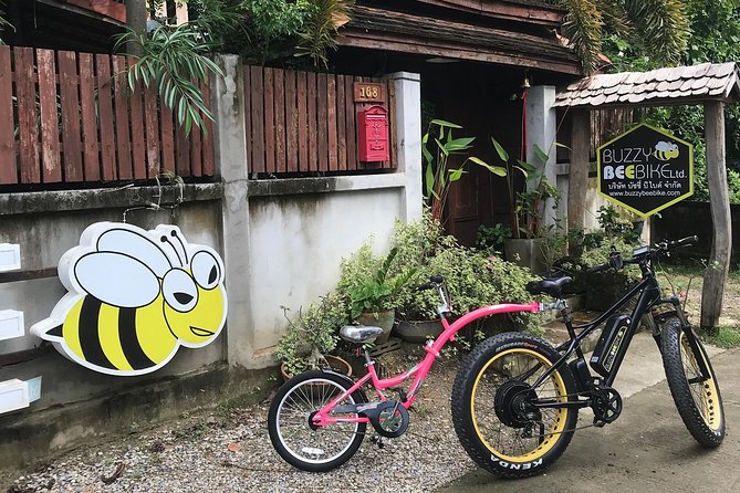 Half-Day Ping River and Rice Paddies E-Bike Adventure (Flat Land, Guided) - Diverse Terrain and Scenery