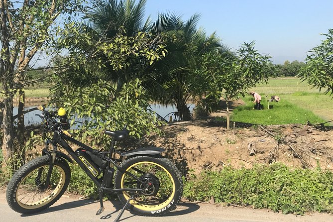 Half-Day Ping River and Rice Paddies E-Bike Adventure (Flat Land, Guided) - Wat Chang Nam Archeological Site