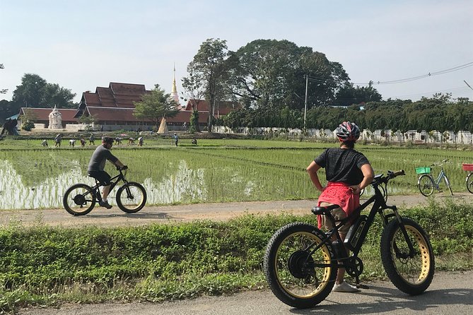 Half-Day Ping River and Rice Paddies E-Bike Adventure (Flat Land, Guided) - Important Considerations