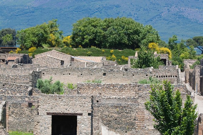 Half Day Pompeii Sightseeing Tour From Sorrento - Booking and Cancellation