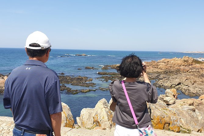 Half Day Porto and Beach Side Small-Group Tour With Tastings - Learn About History