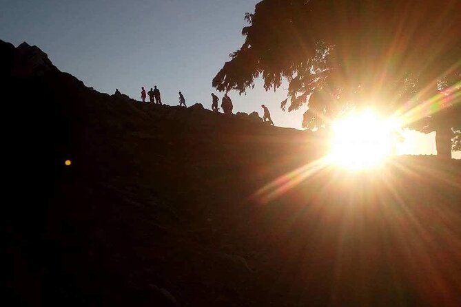 Half Day Premium Sunset Safari Tour in Northwest Corfu - Group Size and Capacity