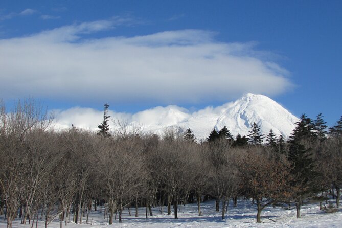Half-Day Primeval Forest Snowshoe and Wildlife Watching Tour - Tour Duration and Activities