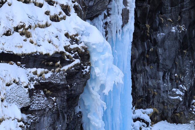 Half-Day Primeval Forest Snowshoe and Wildlife Watching Tour - Accessibility and Fitness Level