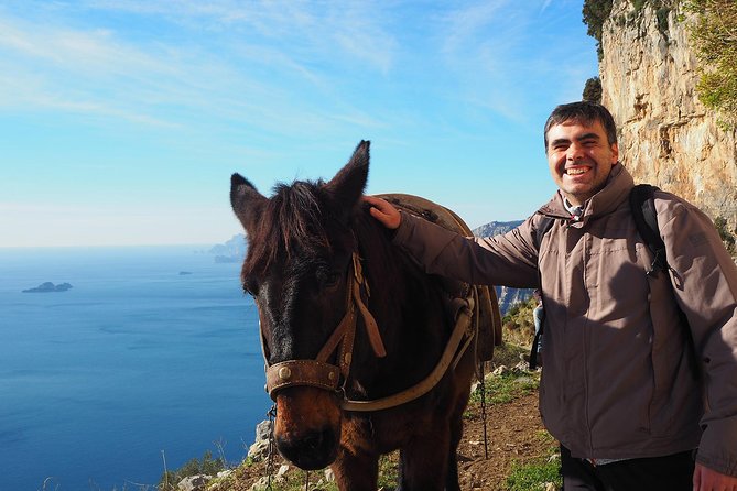 Half-Day Private Amalfi Coast Path of the Gods Hike With Lunch - Hiking the Path of the Gods