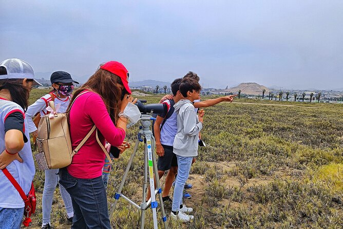 Half-Day Private Birdwatching Tour in Lima - Species Spotted