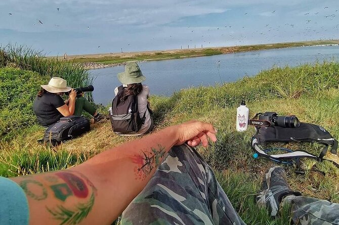 Half-Day Private Birdwatching Tour in Lima - Meeting and Pickup