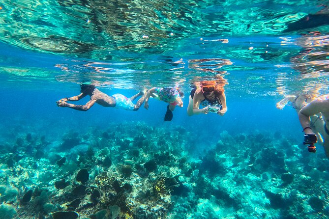 Half Day Private Boat Charter at Grace Bay, Providenciales - Memorable Moments Highlighted