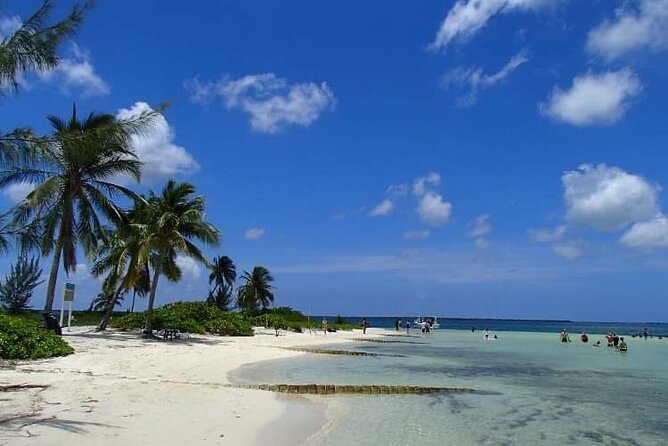Half Day Private Boat Charter in Grand Cayman - Overview and Experience
