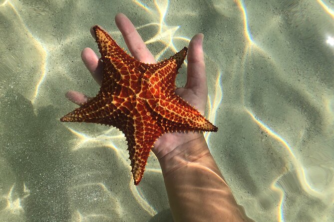 Half Day Private Boat Charter in Grand Cayman - Meeting Location and Pickup