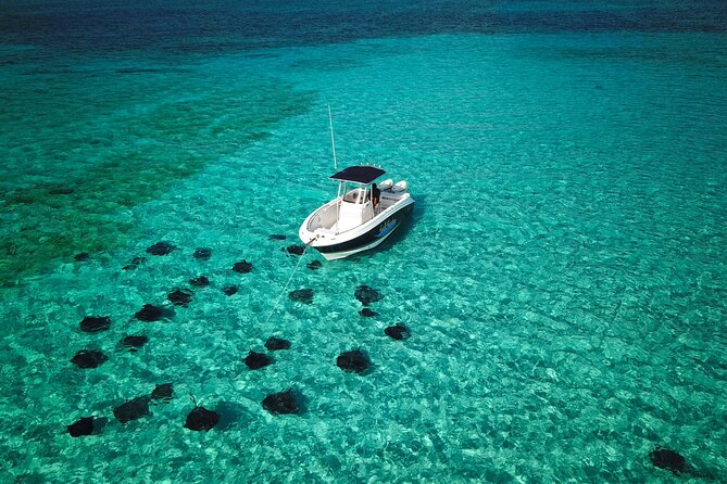Half Day Private Boat Charter in Grand Cayman - Snorkeling and Swimming