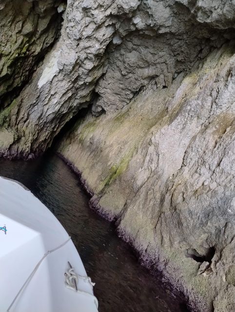 Half Day Private Boat Excursion to Ortigia and Syracuse - Frequently Asked Questions