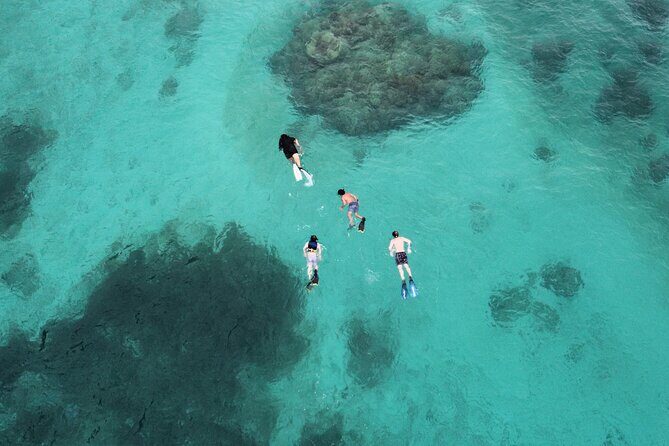 Half-Day Private Boat Experience  Appetizers & Drinks Included - The Reviews: What Travelers Say