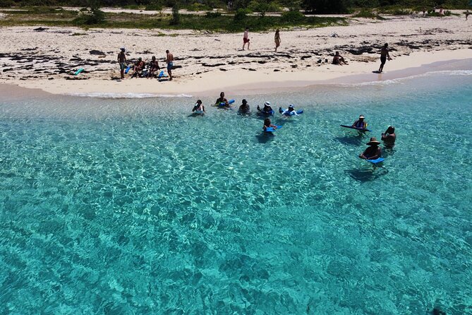 Half Day Private Boat Experience With Appetizer and Drinks - Exploring the Underwater World