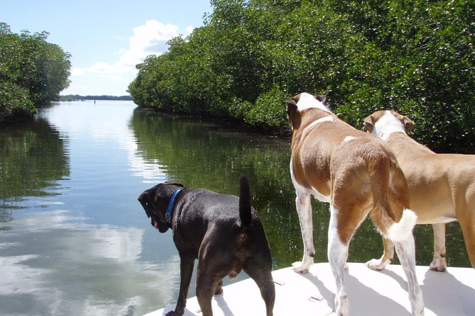 Half Day Private Boat Tour - Personalized Experience