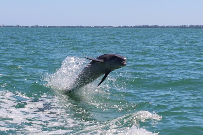 Half Day Private Boat Tour - Snorkeling Opportunities