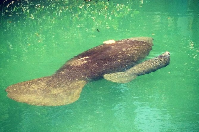 Half Day Private Boat Tour - Cancellation Policy