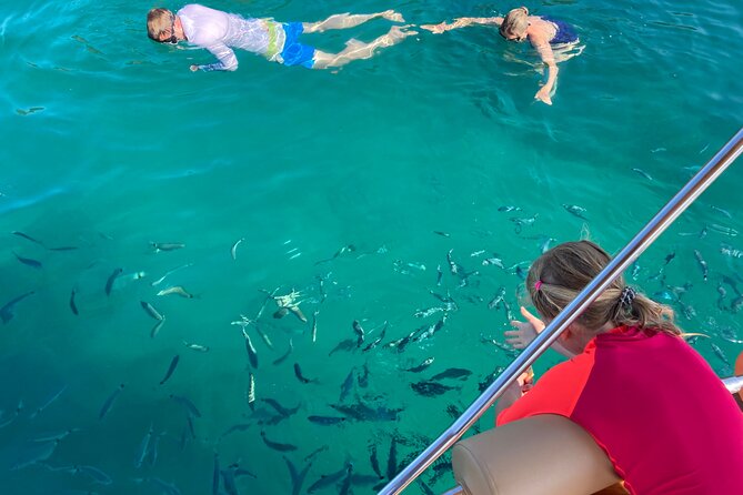 Half Day Private Boat Tour to Cala Violina - Cancellation and Payment