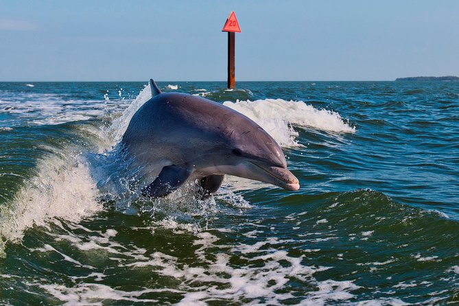 Half-Day Private Boating On Black Hurricane - Indian Rocks Beach - Amenities and Safety Measures