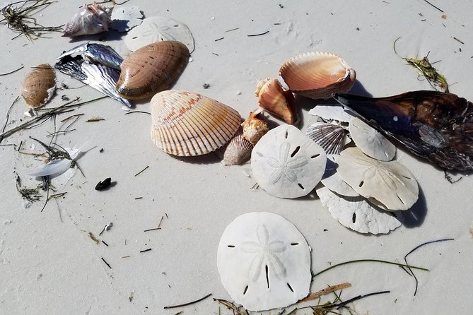 Half-Day Private Boating On Black Hurricane - Indian Rocks Beach - Pickup Logistics