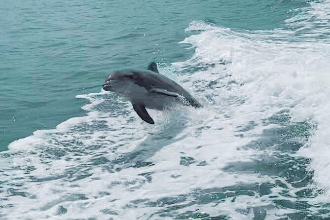 Half-Day Private Boating On Blue Hurricane - Clearwater Beach - Booking and Cancellation
