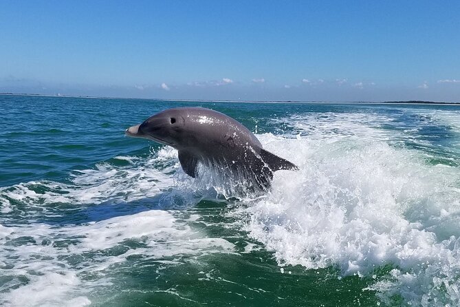 Half-Day Private Boating On Platinum Funship - Dunedin - Meeting Point for Pickup