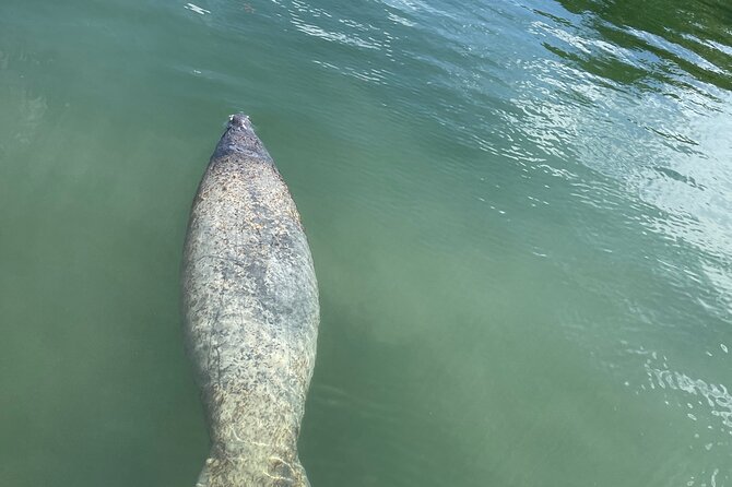 Half Day Private Charter - Exploring Islamoradas Waters