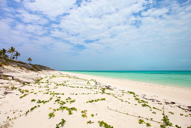 Half Day Private Charters in Iguana Island for 8pax - About Your Stay