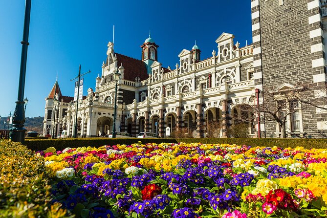 Half-Day Private City, Sights & Wildlife Tours - Exploring Dunedin and Otago Peninsula