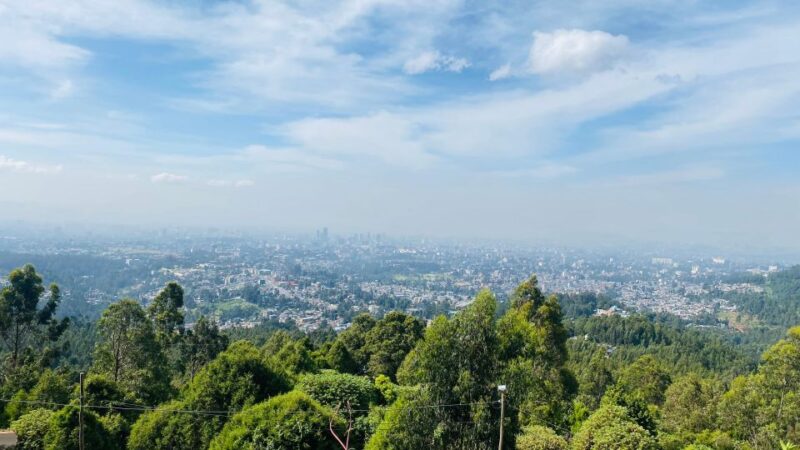 Half Day Private City Tour - Experience Highlights