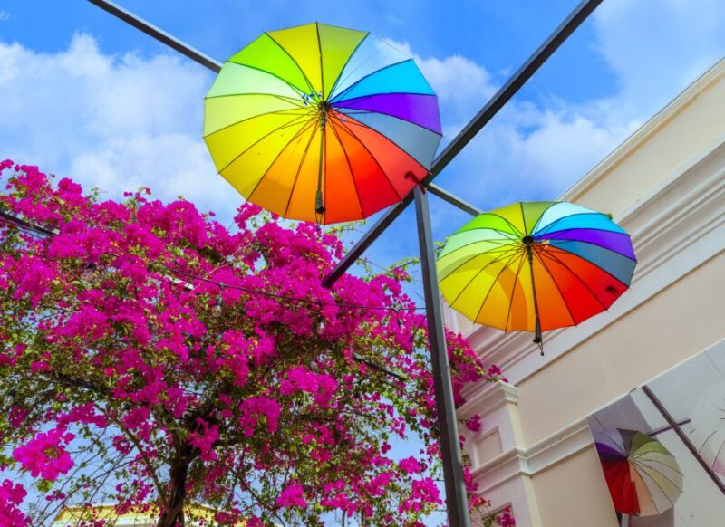 Half Day Private City Tour of Puerto Plata - Del Oro Chocolate Factory