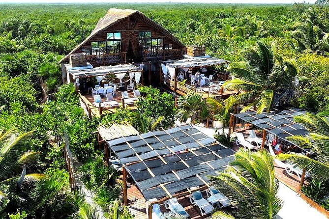 Half Day Private  Costa Maya Beach Break - Accessibility and Participation
