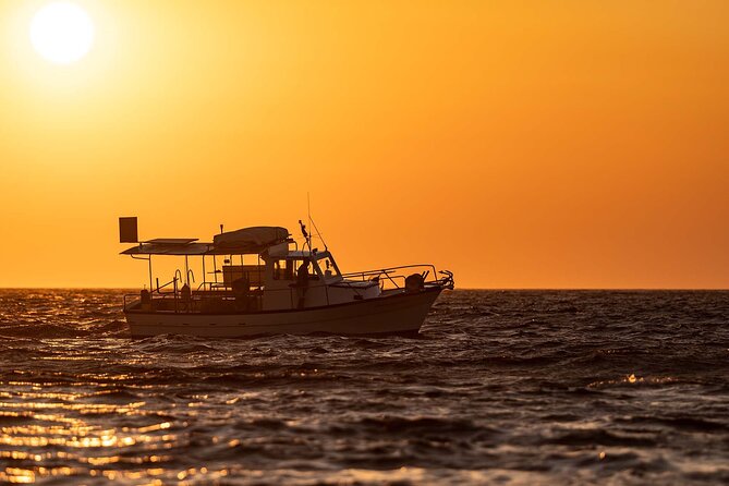 Half Day Private Cruise From Pollonia to Polyaigos - Personalized Cruising Experience