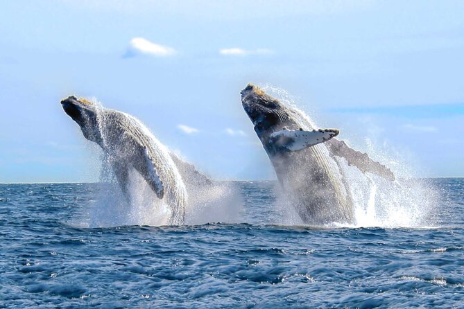 Half Day Private Cruise in Puerto Vallarta With Snorkeling - Recommended for Relaxation