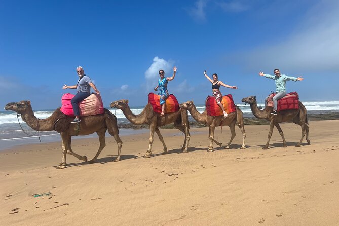 Half Day Private Custom Tour in Tangier Including Camel Ride - Visiting the Kasbah and Museum