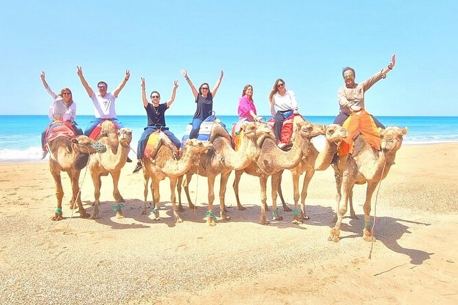 Half Day Private Custom Tour in Tangier Including Camel Ride - Cancellation Policy