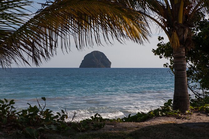 Half Day Private Custom Tour of Martinique - Tour Accessibility