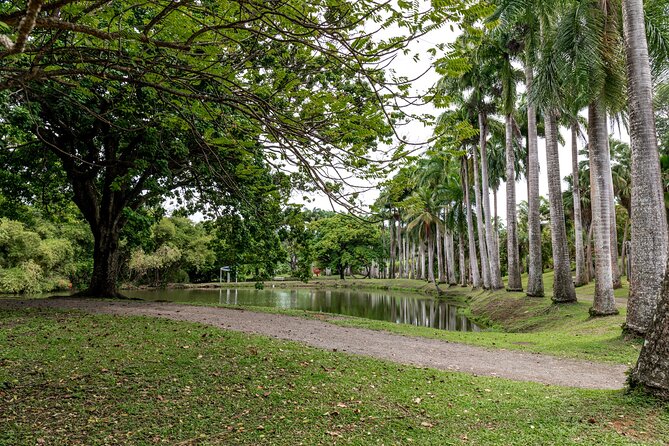 Half Day Private Custom Tour of Martinique - Highlights of the Tour