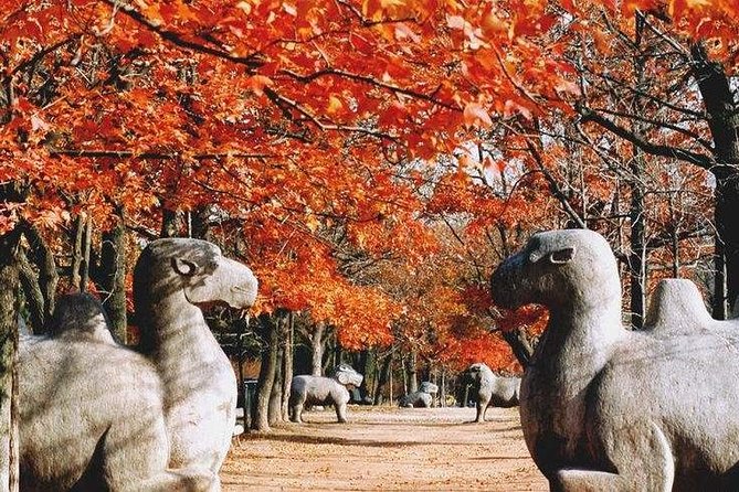 Half-Day Private Customized Nanjing City Tour - Pickup Information