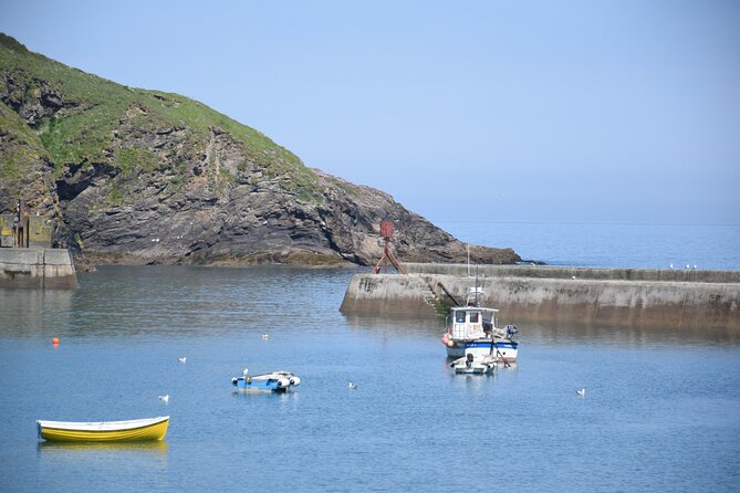 Half-Day Private Doc Martin and Fishermans Friends Tour - Pickup and Confirmation