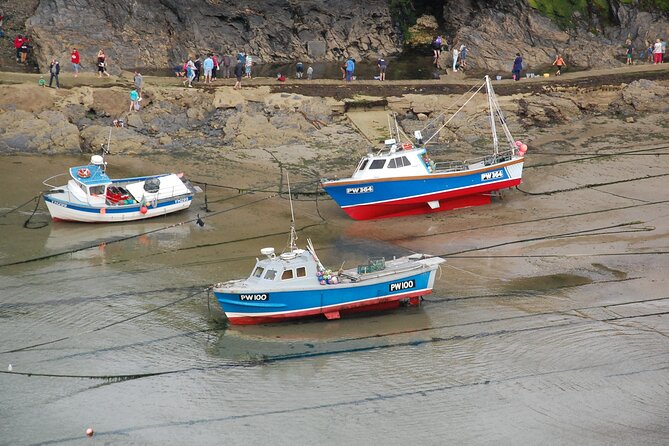 Half-Day Private Doc Martin and Fishermans Friends Tour - Highlights From Reviews