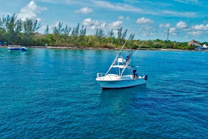 Half Day Private Fishing Charter in Cozumel - Customer Feedback and Experiences