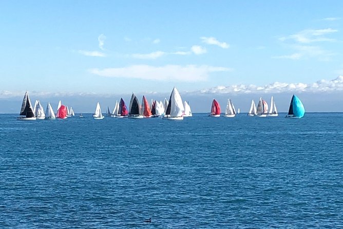 Half-Day Private French Riviera Tour From Nice - About the Tour Operator