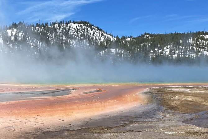 Half-Day Private Geyser Basin Tour of Yellowstone - Tour Overview
