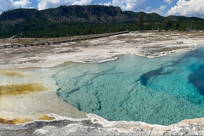 Half-Day Private Geyser Basin Tour of Yellowstone - Inclusions