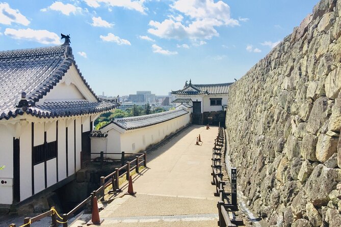 Half-Day Private Guide Tour to Himeji Castle - Tour Restrictions